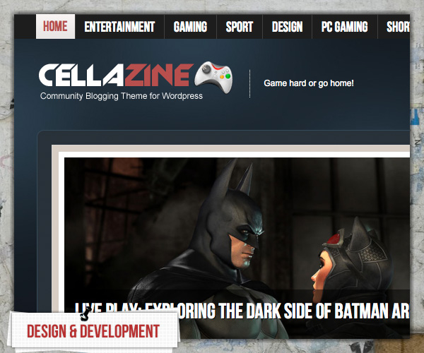 Cellazine Portfolio