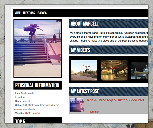 Skate Hangout Portfolio